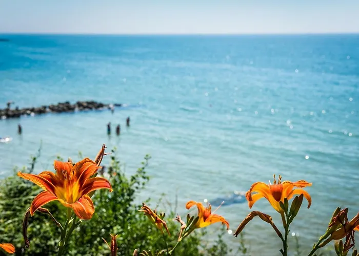 Premier Sands - Full Board Θέρετρο